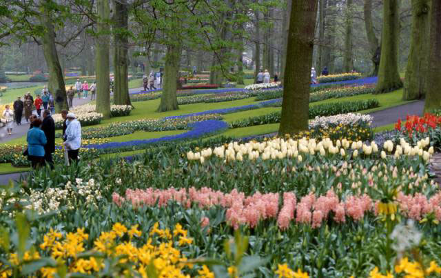 nice walking paths among flowers