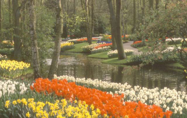 flower beds of various colors