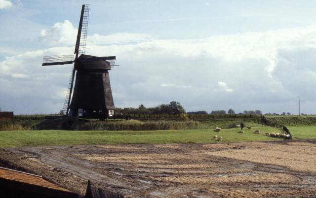 a working windmill at Kinderdyke