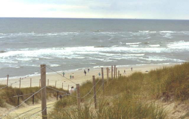 North Sea dunes