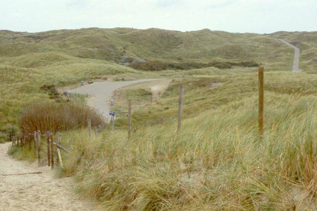 bike trail through sand dunes