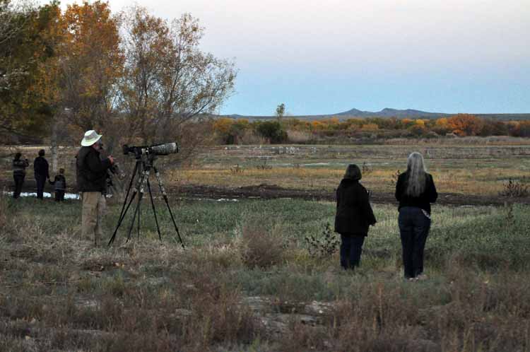 photographers