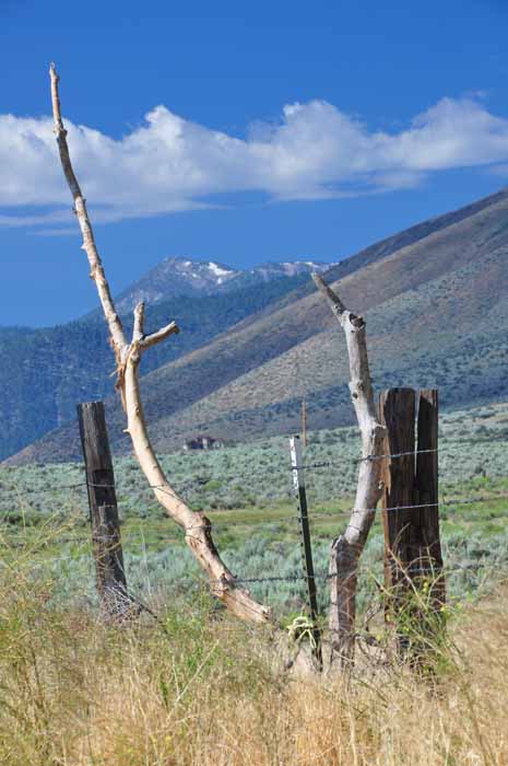 Carson Valley