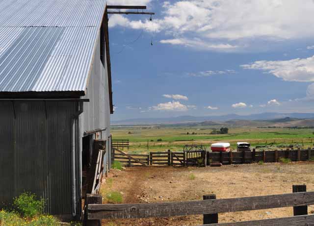 Carson Valley
