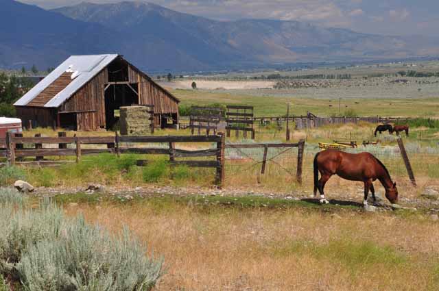 Carson Valley