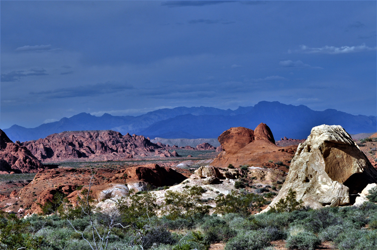 desert floor