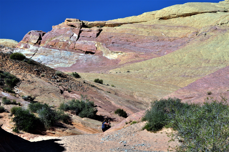 pink canyon