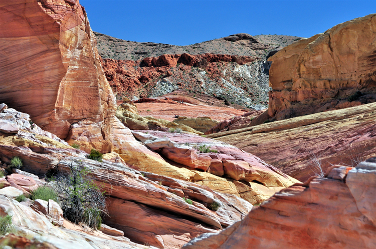 pink canyon