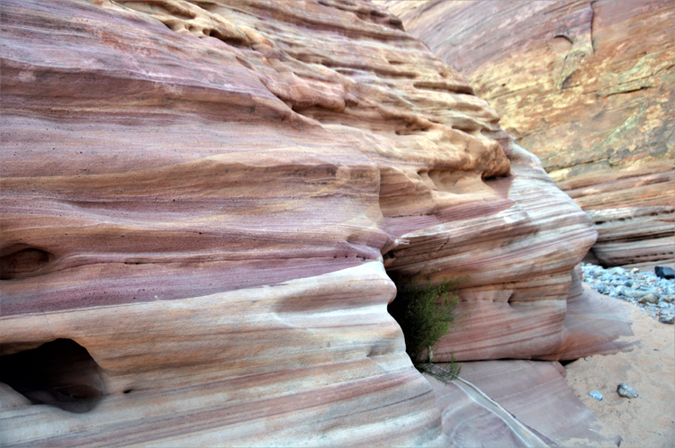 pink canyon