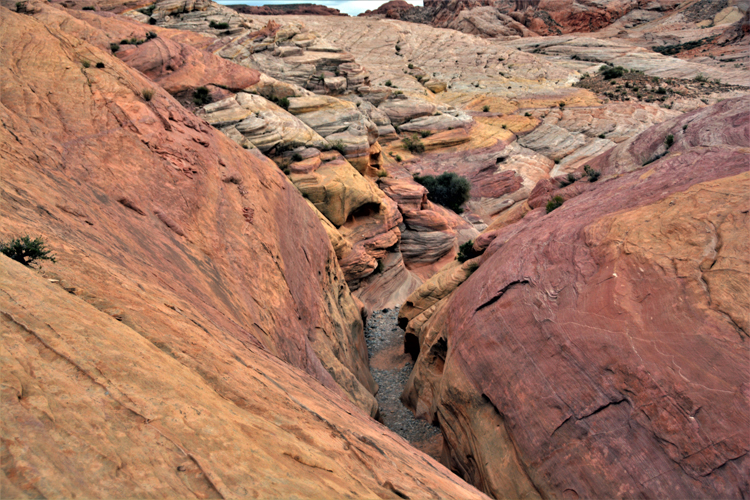 pink canyon