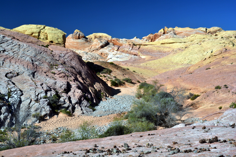 pink canyon