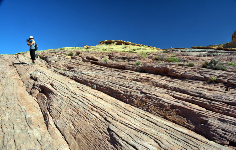 pink canyon