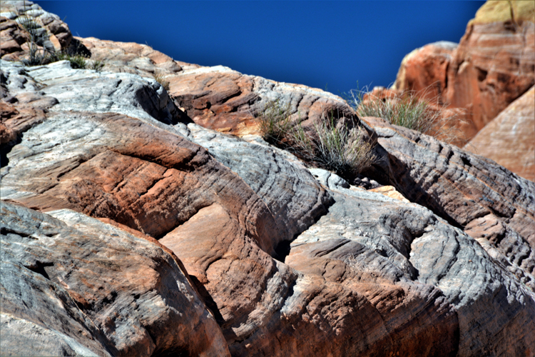 pink canyon