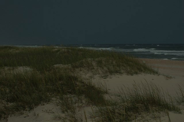 grassy sand dunes