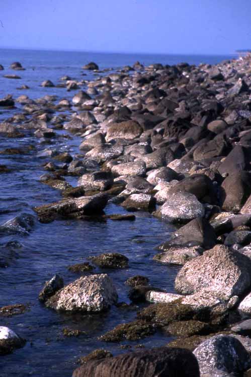 shoreline