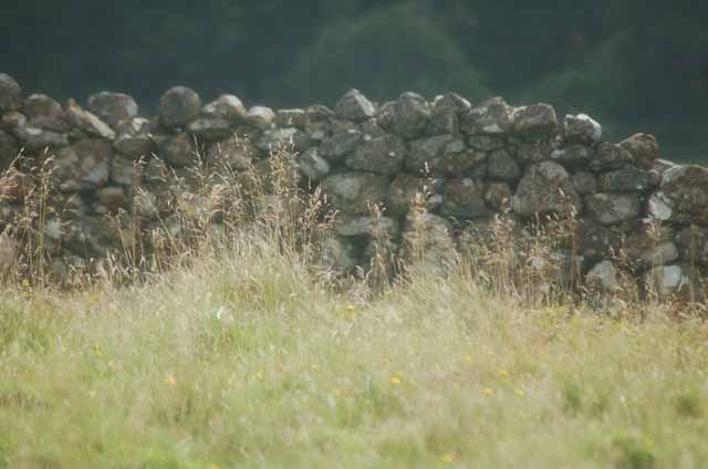 a typical stone wall