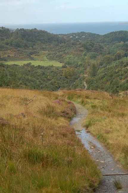 a walking trail