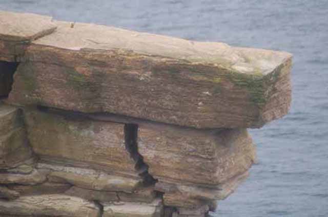 The Stacks