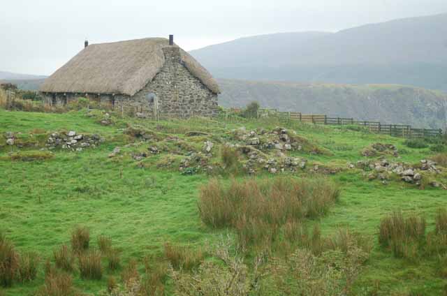 a thatched-roof farmhouse