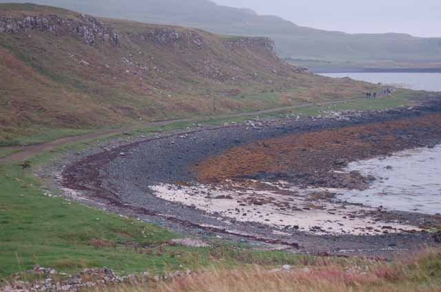 Coral Beach