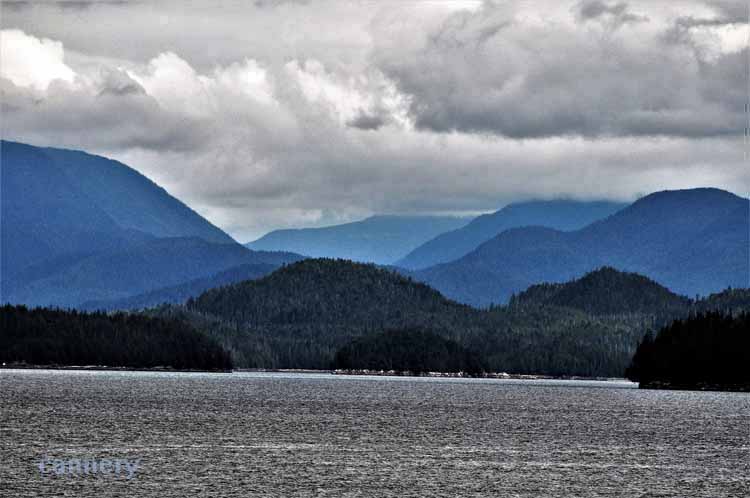 fjords and water