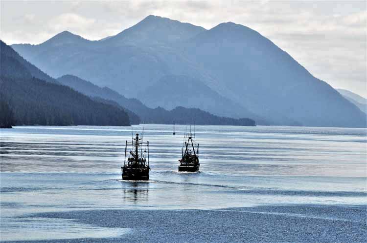 fjords and water