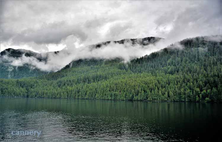 fjords and water