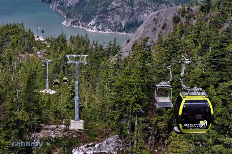 gondola
