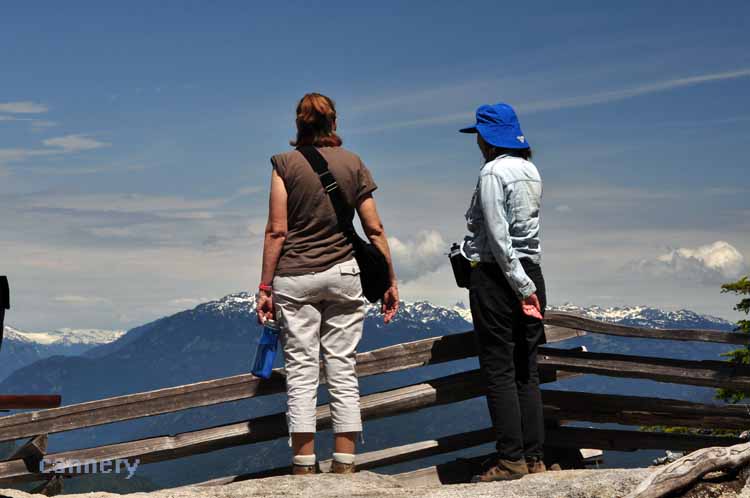 viewing platform