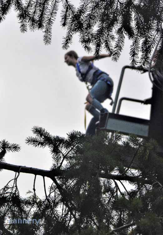 bungee jumper