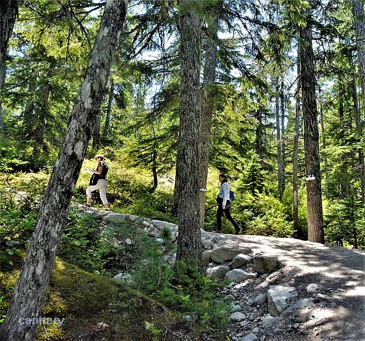 the walking trail