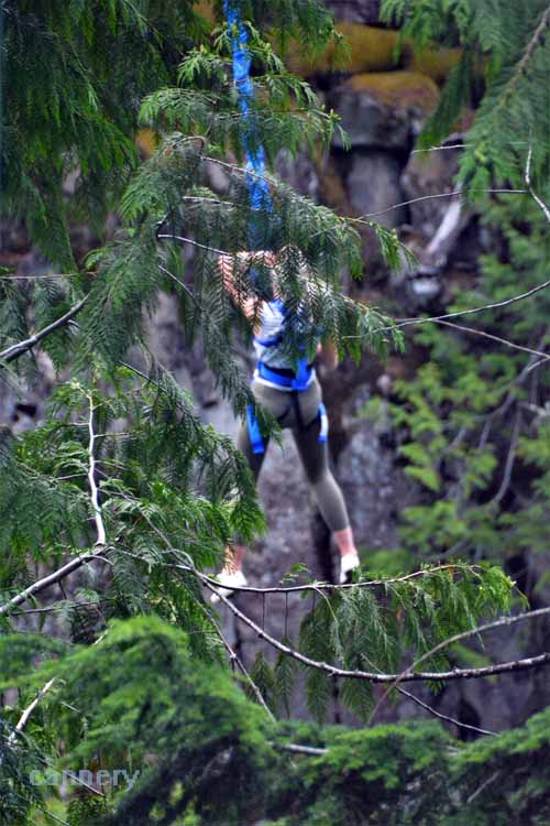 bungee jumper