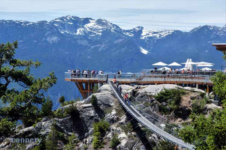 viewing platform