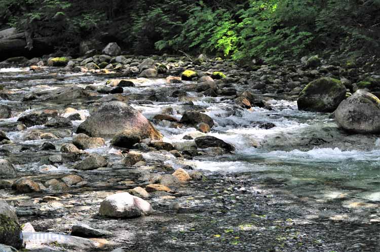 stream