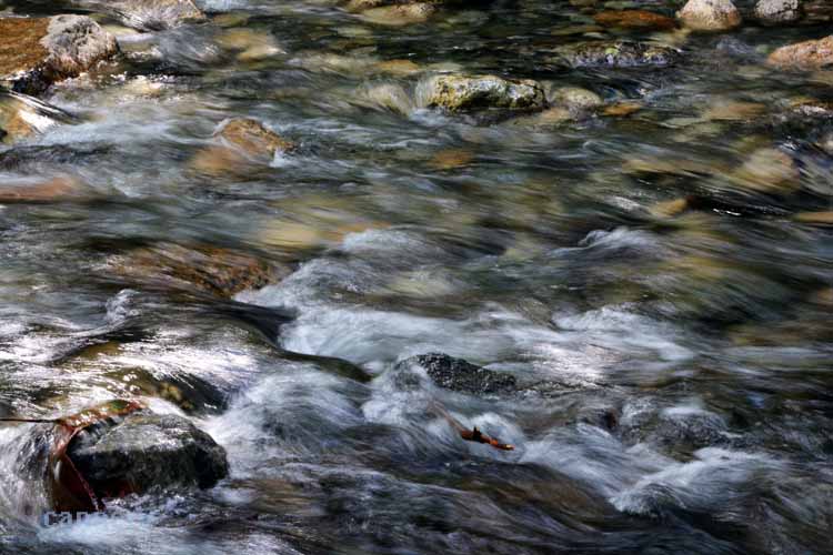 stream