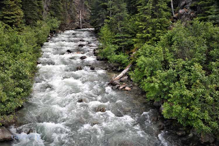 flowing river