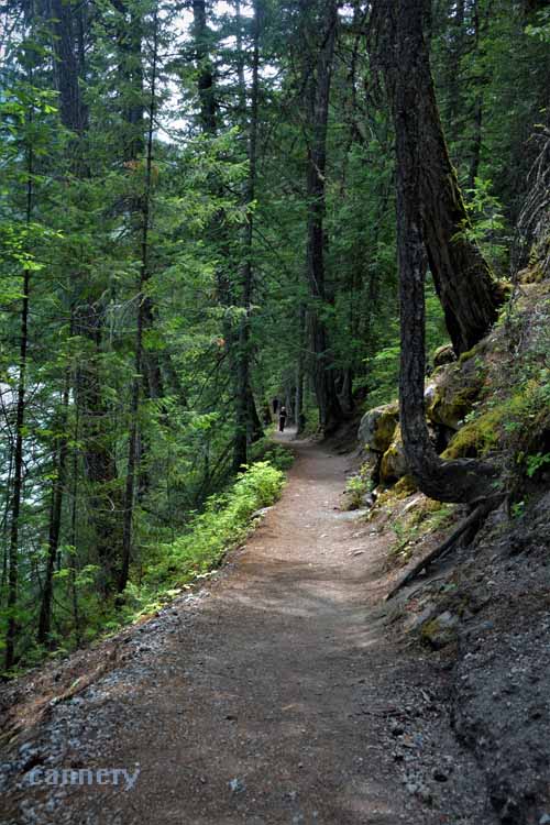 hiking trail