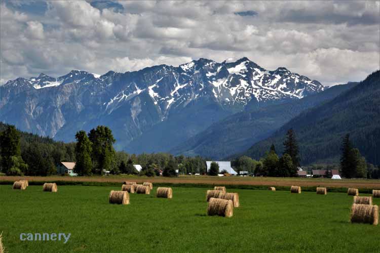 Pemberton Meadows Road