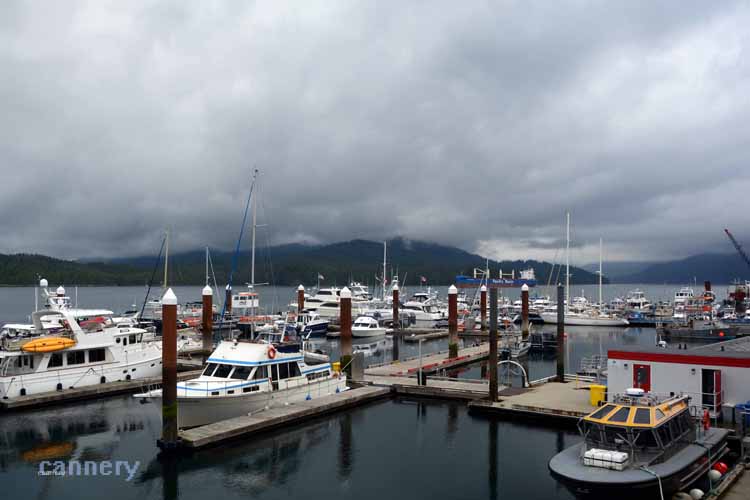 harbor