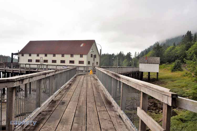cannery building