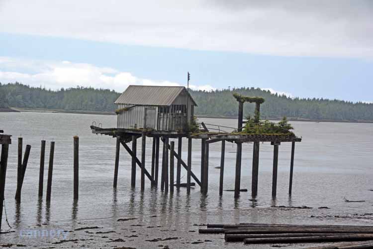 cannery grounds