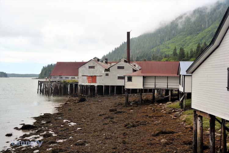 cannery grounds