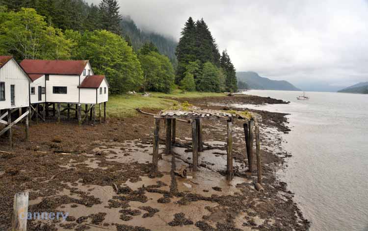 cannery grounds