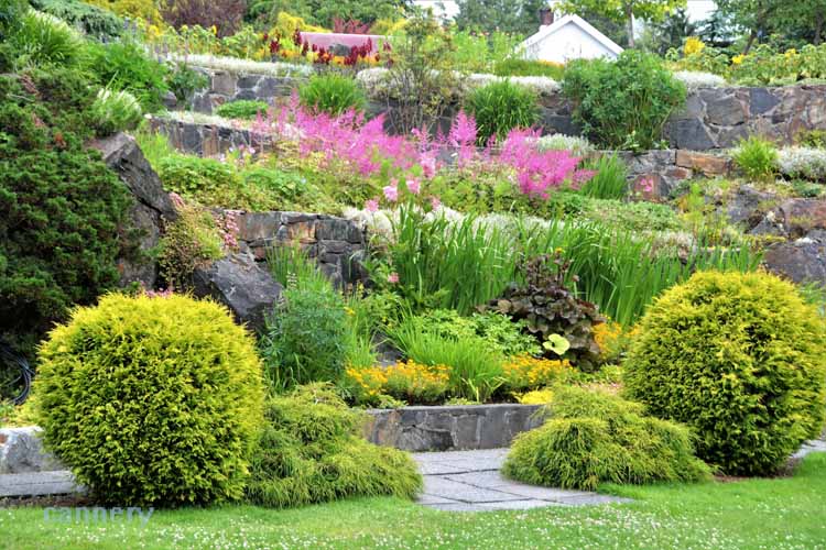 flower garden