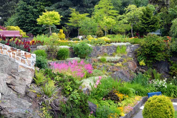 flower garden