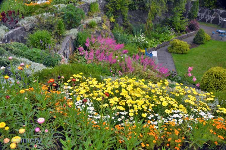 flower garden