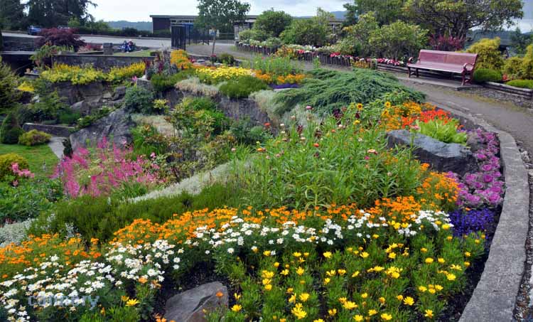 flower garden