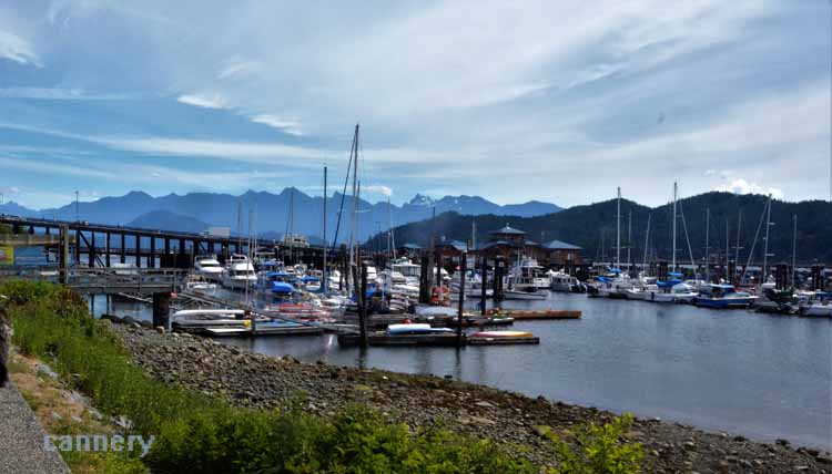 harbor 
