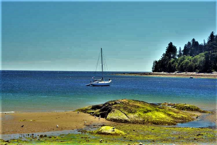 beach scene
