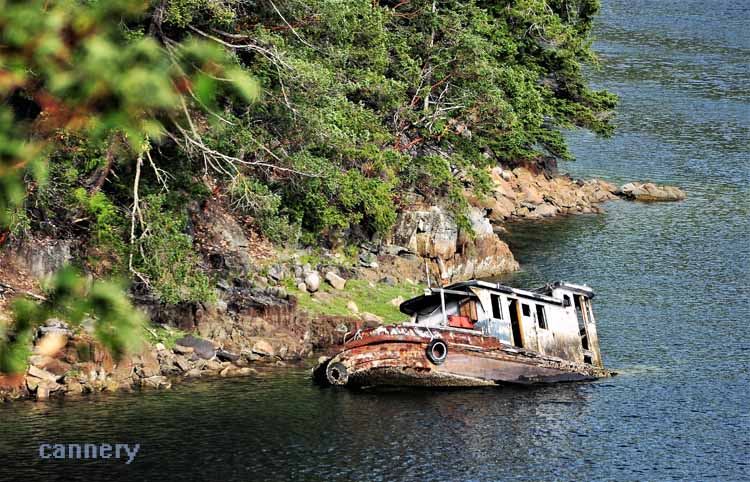 sunken boat on shore
